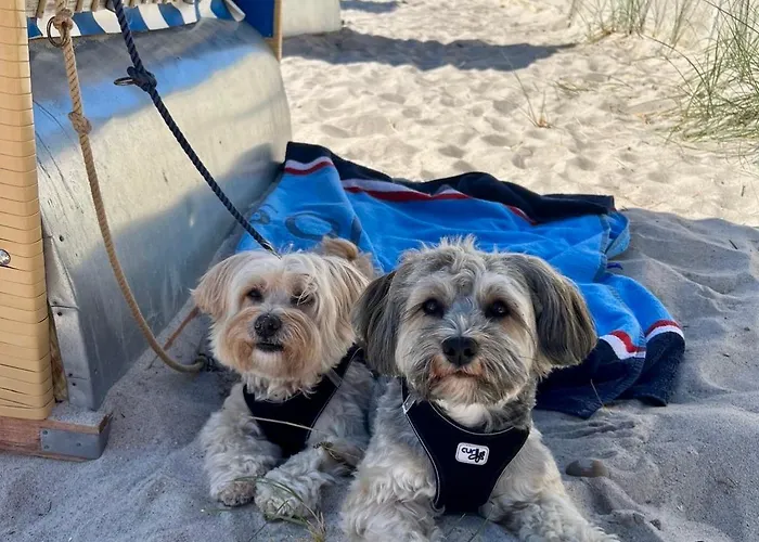 - Elsas Koje Apartamento *